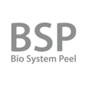 лого BSP лого BSP